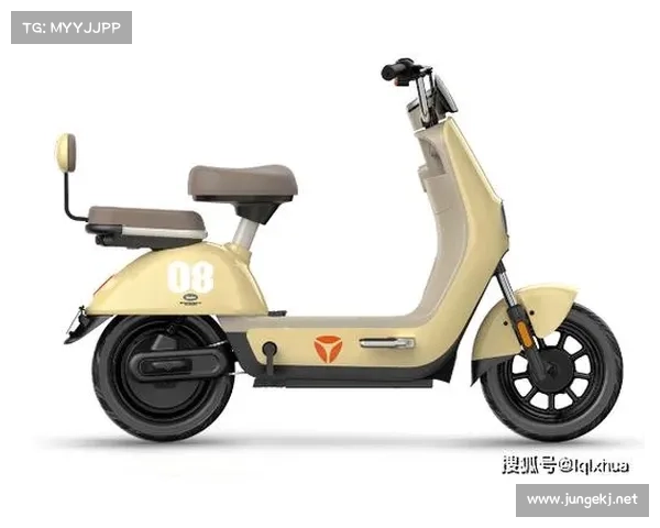 中国两轮电动车电商冠军：意外登顶，跑赢了雅迪、绿源等传统大厂