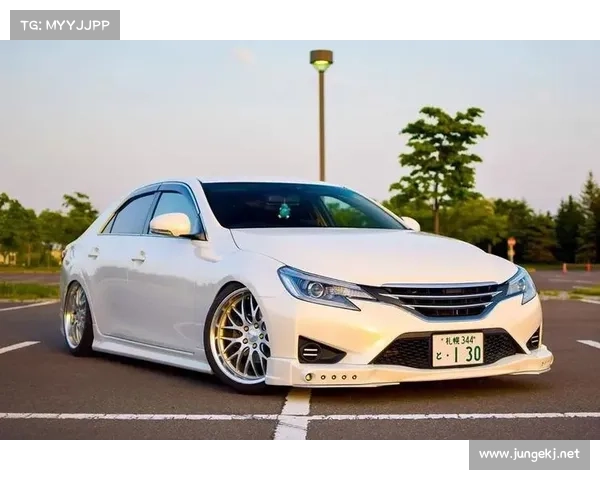 丰田“锐志”，改装灵感案例。