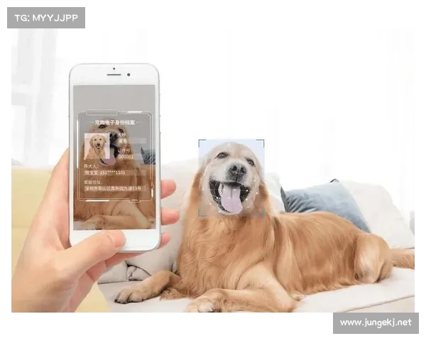 京东悄悄给全国孩子发了条“电子宠物狗”,背后藏着一盘大棋 京东悄悄给全国孩子发了条“电子宠物狗”,背后藏着一盘大棋