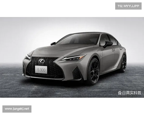 会员级待遇 疑似雷克萨斯新款IS抢先看 会员级待遇 疑似雷克萨斯新款IS抢先看
